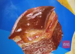 Illustration of home-cooked braised pork 6