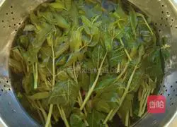 Illustration of how to make Chinese toon scrambled eggs 3