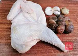 Shiitake Chicken Illustration of making bento 1