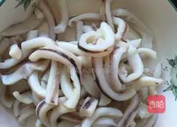 Illustration of how to fire squid 1