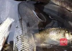 Illustration of braised tofu and crucian carp 1