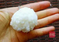 Soy Sauce Fried Rice Recipe Illustration 6