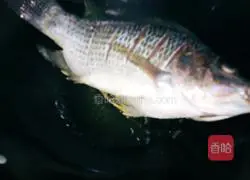 Illustration of how to make lucky fish fall in love with soft tofu 4