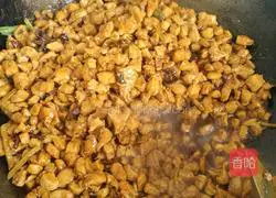 Illustration of home-cooked Kung Pao Chicken 7