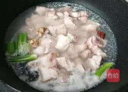 Braised Pork Recipe Illustration 1