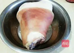 Illustration of stewed elbow 2