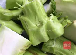 Illustration of how to make cold fresh mustard 3