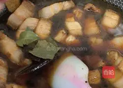 Illustration of Braised Pork 12