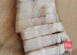 Illustration of home-cooked braised pork 2