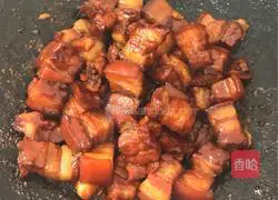 Illustration of Braised Pork 11