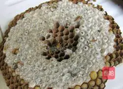 Illustration of how to make fried bee pupae 2