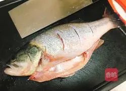 Illustration of steamed sea bass 2