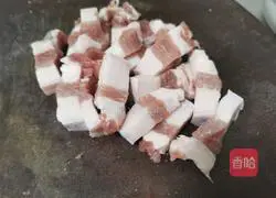 Illustration of braised pork rice bento 1