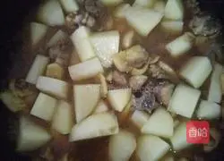 Potatoes Illustration of braised chicken 11
