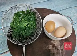 Alfalfa scrambled eggs recipe 2