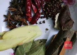 Illustration of braised blue-headed duck 1