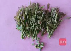 Illustration of how to make Chinese toon sprout omelette 2