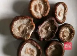 Illustration of ways to make flowers bloom and prosper 3