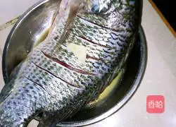 Illustration of how to make lucky fish fall in love with soft tofu 1