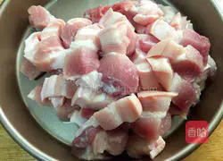 Illustration of home-cooked braised pork 2