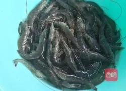 Illustration of the fancy presentation of boiled shrimp (with flavored dish) 1