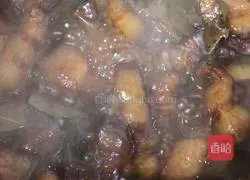 Illustration of Braised Pork Recipes 14