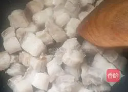 Illustration of braised pork 2