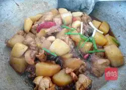 Illustration of chicken stewed with potatoes 11