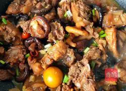 Illustration of Braised Mushroom and Chicken Nuggets 18