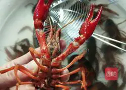 Illustration of how to make beer crayfish 4