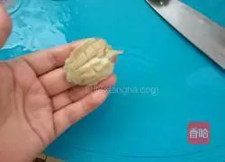 Illustration of how to make steamed abalone 7
