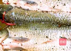 Illustration of how to make cured fish 5