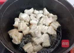 Braised Pork Recipe Illustration 10