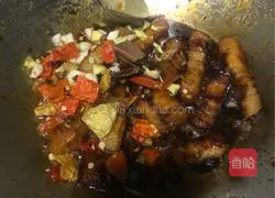 Illustration of home-cooked braised pork 6