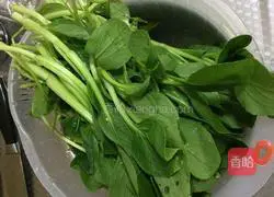 Illustration of how to make rapeseed fungus and dried shrimps 2