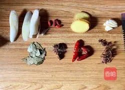 Illustration of home-style braised pork ribs 4