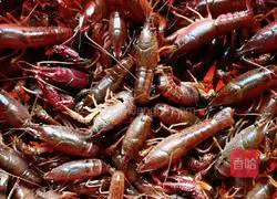 Griddle crayfish recipe 1