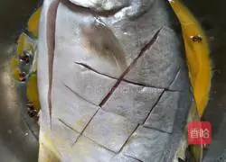 Illustration of braised Jinchang fish 3