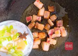 Illustration of how to make braised pork 5