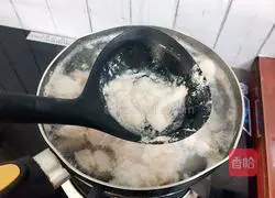 Braised Pork Recipe Illustration 5