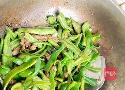 Illustration of home-style chili stir-fried pork 3