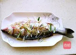 Illustration of steamed sea bass 3