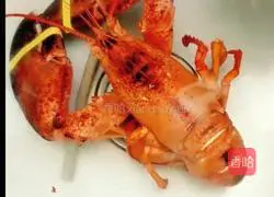 Illustration of three ways to eat Boston lobster 3