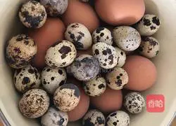 Illustration of braised quail eggs (eggs) 1