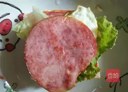 Sandwich Recipe Illustration 9