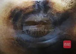 Illustration of how to make air-dried pig ears with double peppers 8