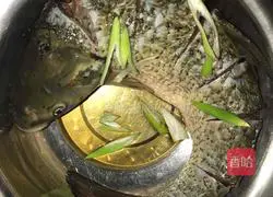 Illustration of how to stew fish in iron pot 2