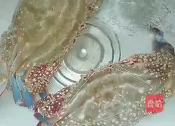 How to make hibiscus crab bucket 1