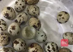 Tiger Skin Quail Eggs Recipe Illustration 3