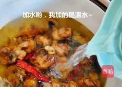 Illustration of braised chicken 4